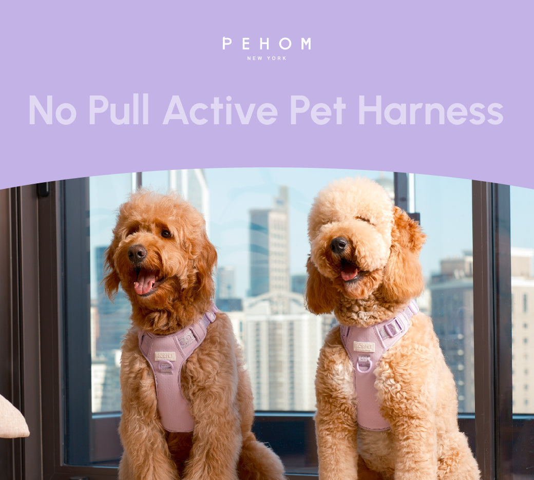 NO PULL ACTIVE  PET HARNESS - MINT PURPLE