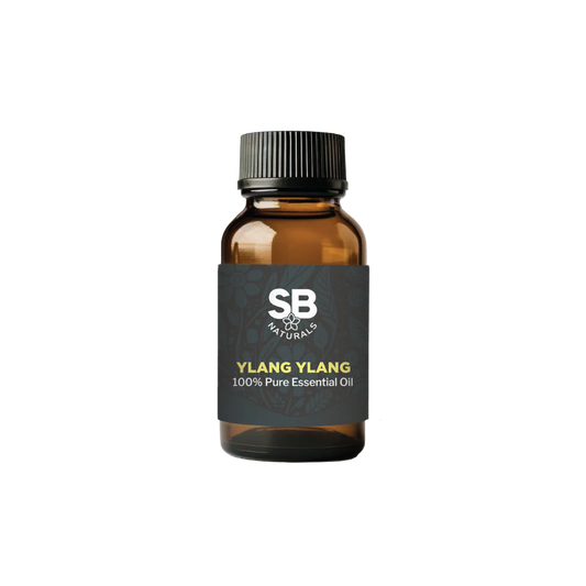 Ylang Ylang Essential Oil