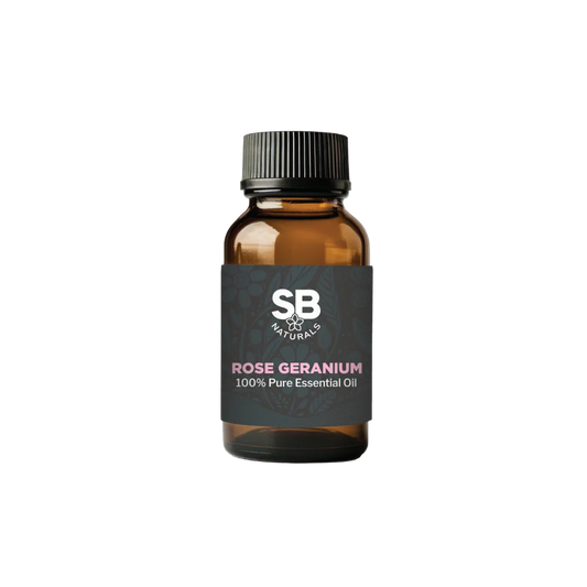 Rose Geranium Essential Oil